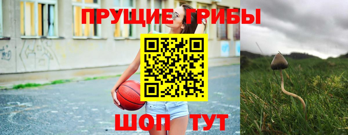 Галлюциногенные грибы Cubensis  дарнет шоп  Волхов  Вход с VPN 